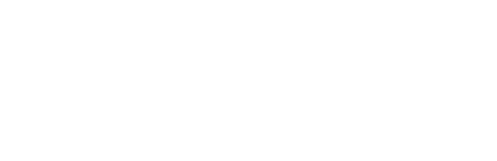 leads XM logo v1 white
